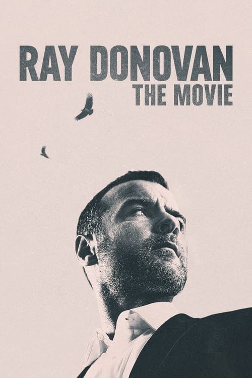 Ray Donovan: O Filme poster