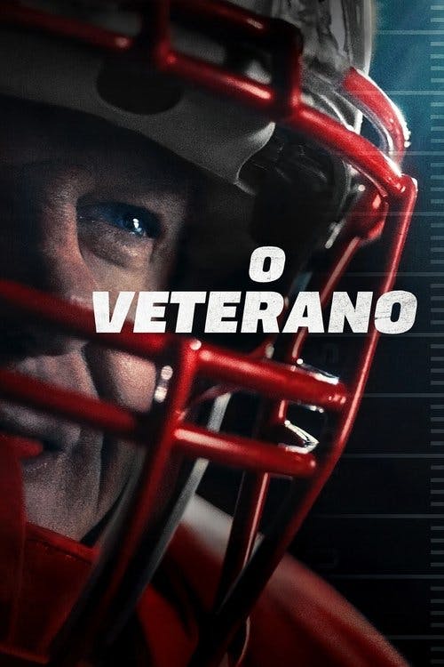 O Veterano poster