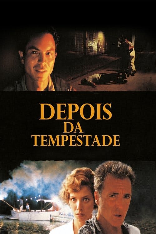 Depois da Tempestade poster
