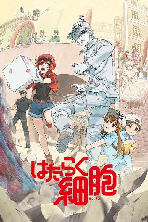 Assistir Cells at Work! Online