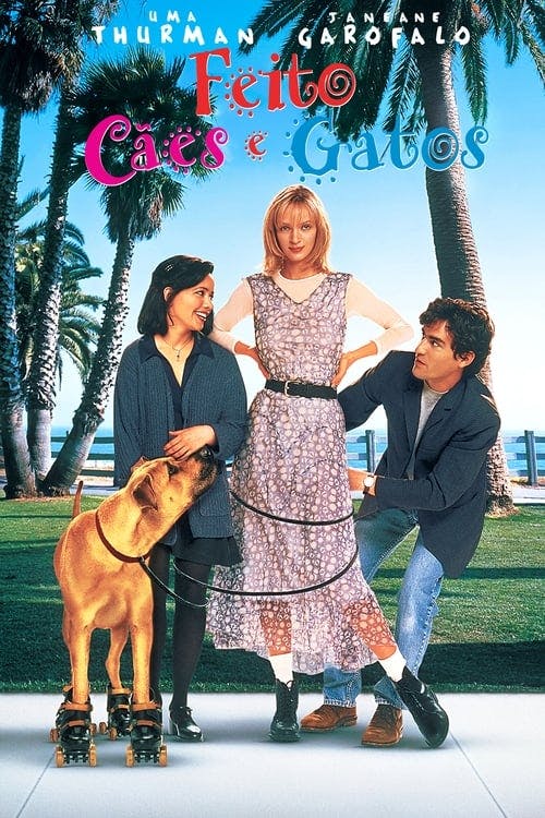 Feito Cães e Gatos poster