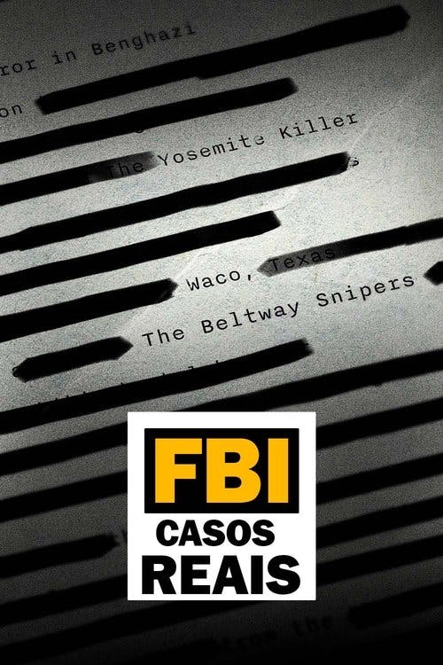 FBI: Casos Reais poster
