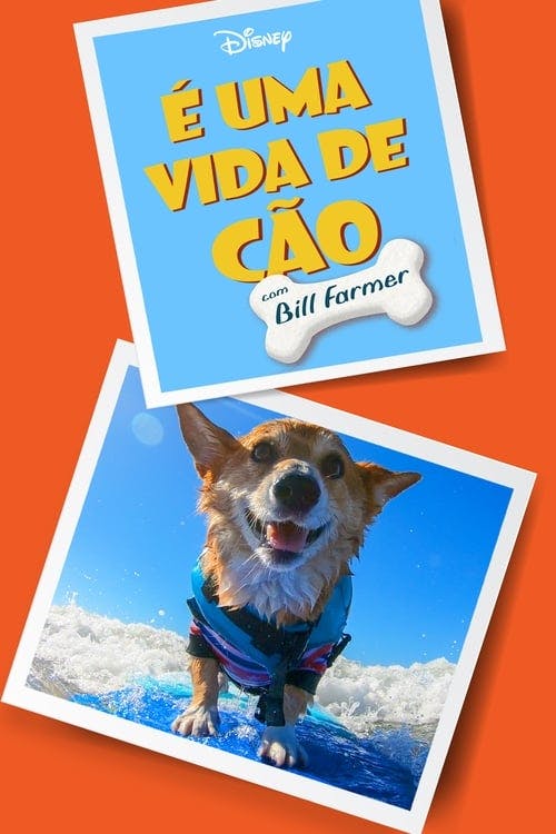 Assistir É Uma Vida de Cão, com Bill Farmer Online em HD