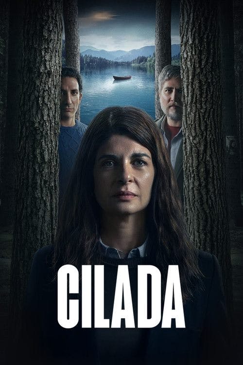 Cilada poster