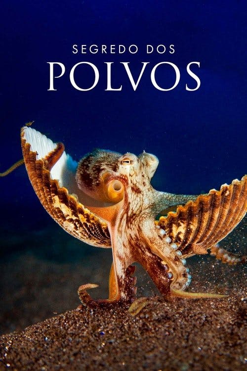 Segredos dos Polvos poster
