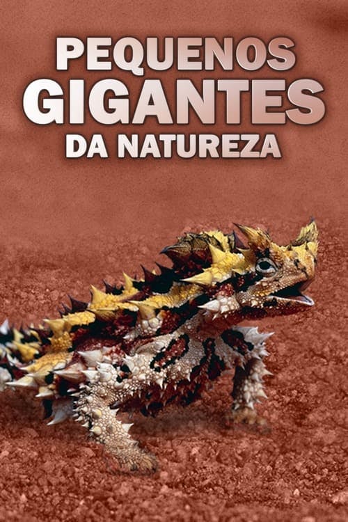 Assistir Pequenos Gigantes da Natureza Online em HD