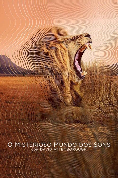 Assistir O Misterioso Mundo dos Sons com David Attenborough Online em HD