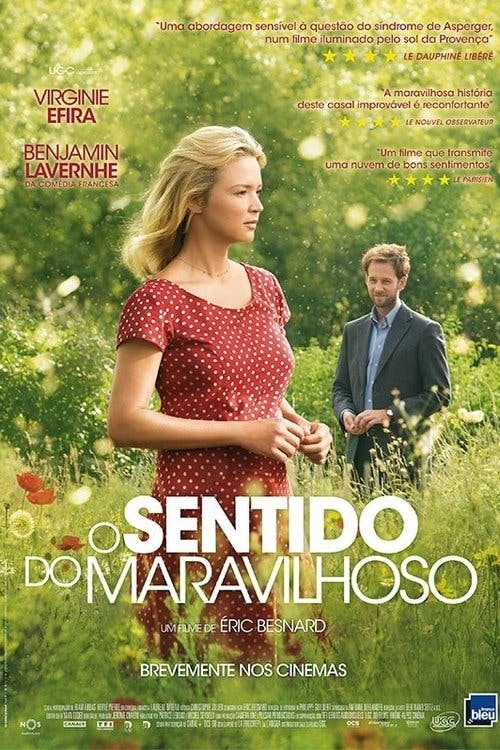 O Sentido do Maravilhoso poster