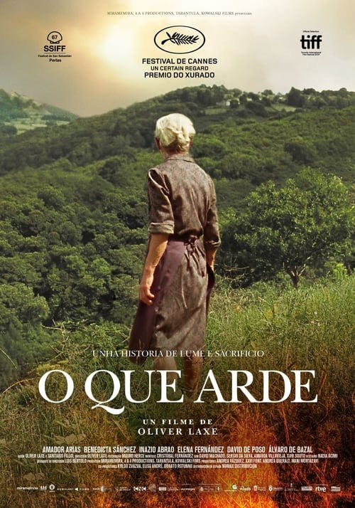 O que arde poster
