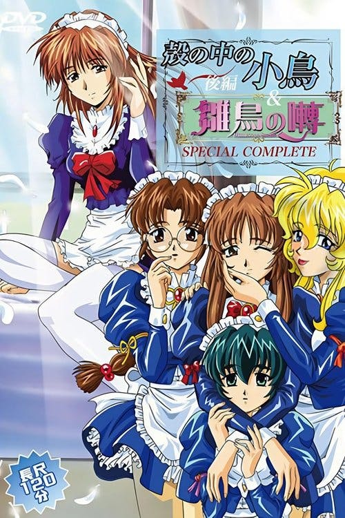 The Maiden Diaries poster