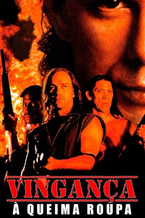 Vingança à Queima-Roupa poster