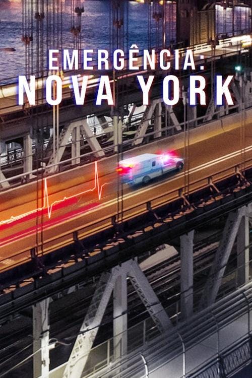 Emergência: Nova York poster