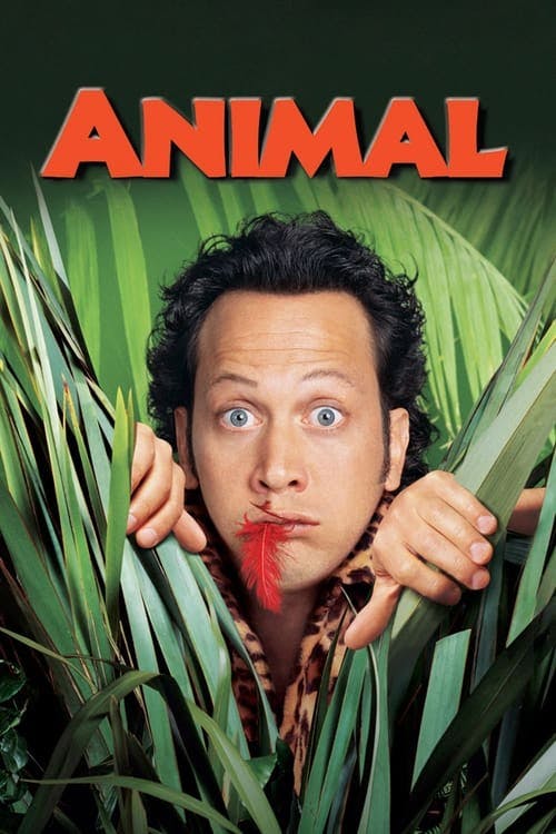 Animal poster