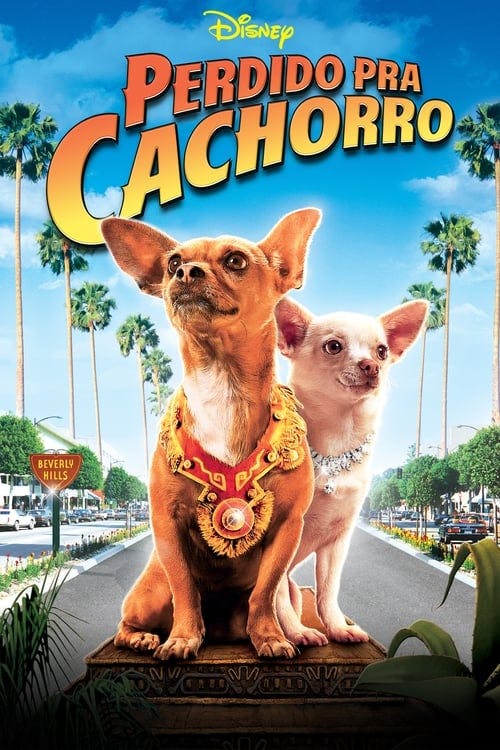 Perdido pra Cachorro poster