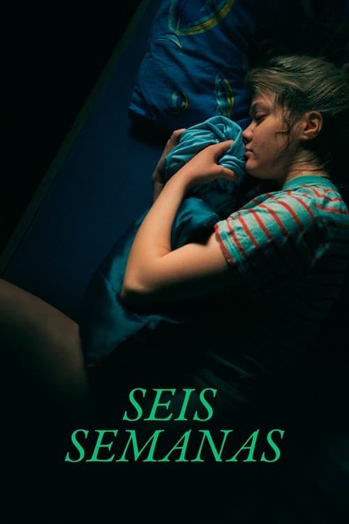 Seis Semanas poster