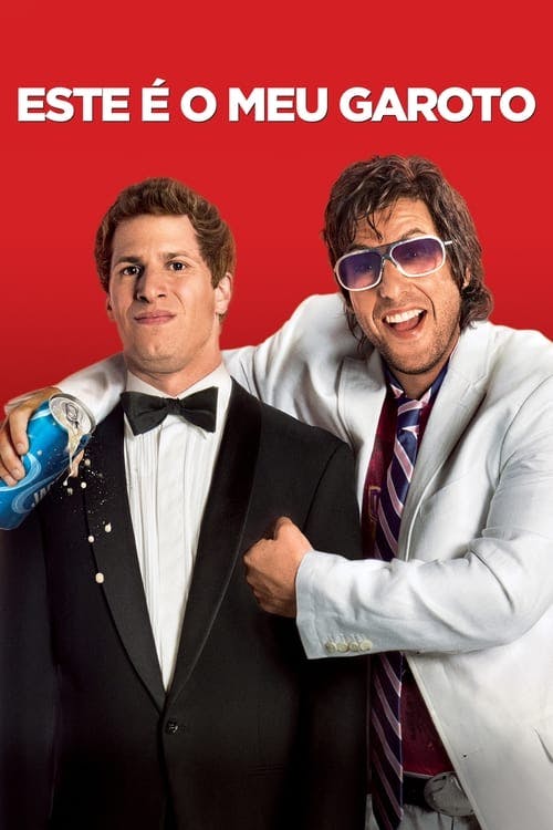 Este é o Meu Garoto poster