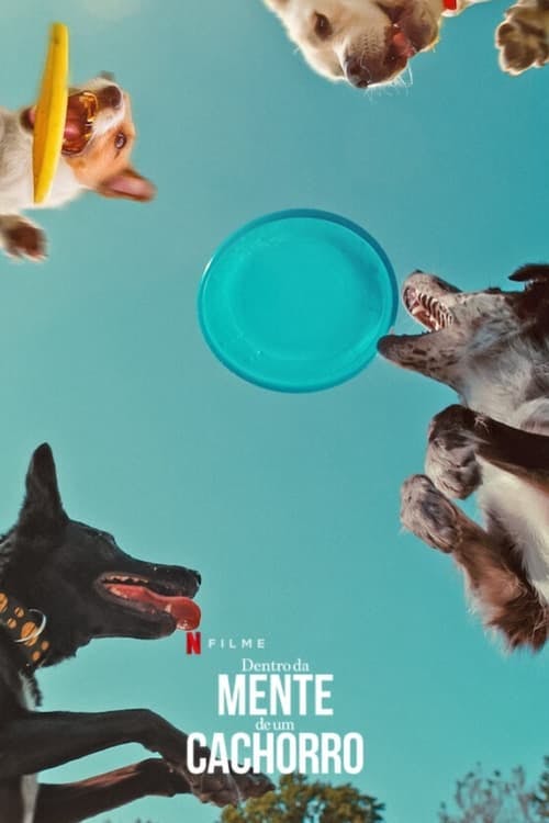 Dentro da Mente de um Cachorro poster