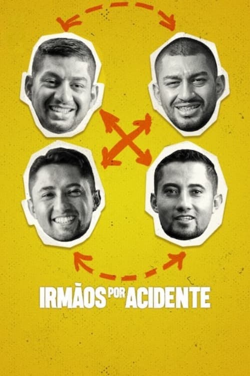 Irmãos por Acidente poster