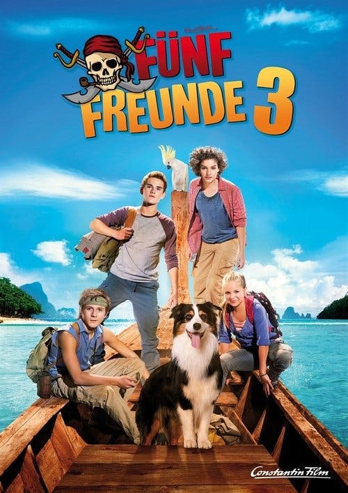 Cinco Amigos 3 poster