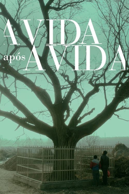 A Vida Após a Vida poster