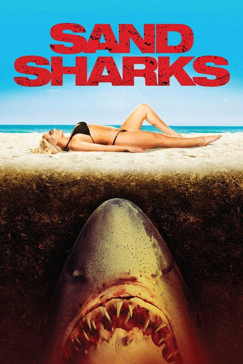 Tubarões da Areia poster