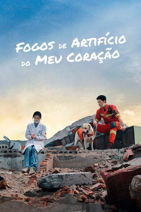 Fogos de Artifício do Meu Coração poster