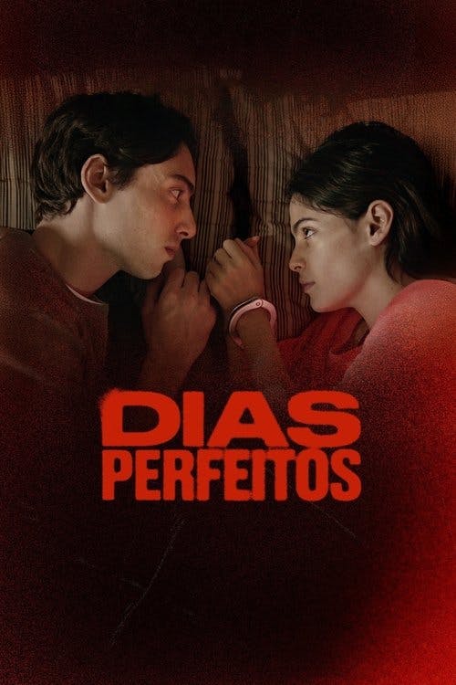Dias Perfeitos poster