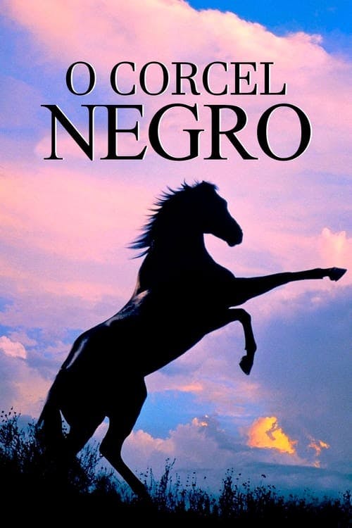 O Corcel Negro poster