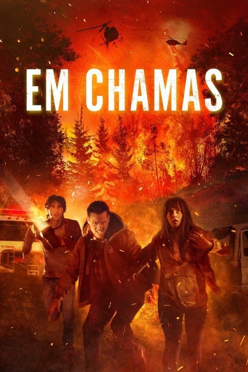 Em Chamas poster