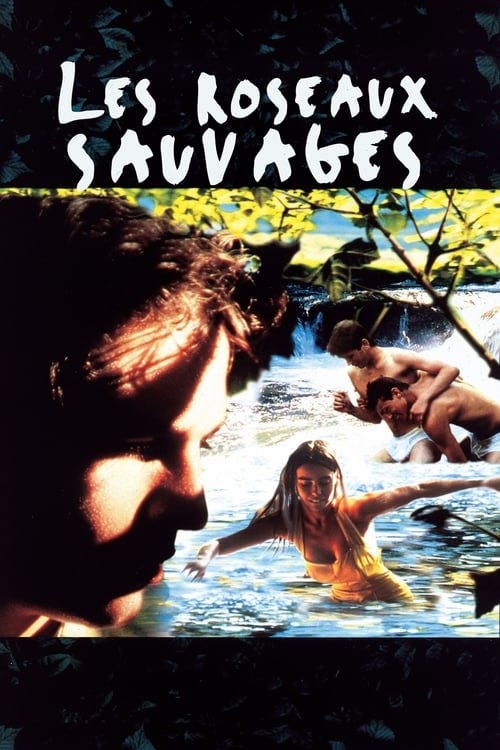 Rosas Selvagens poster