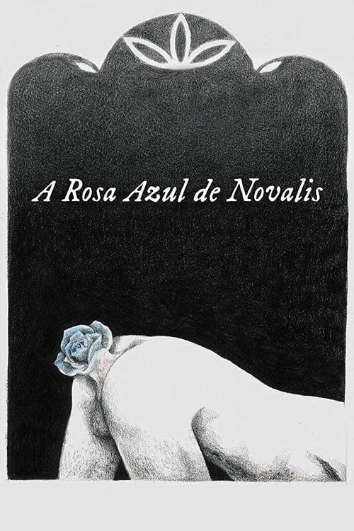 A Rosa Azul de Novalis poster