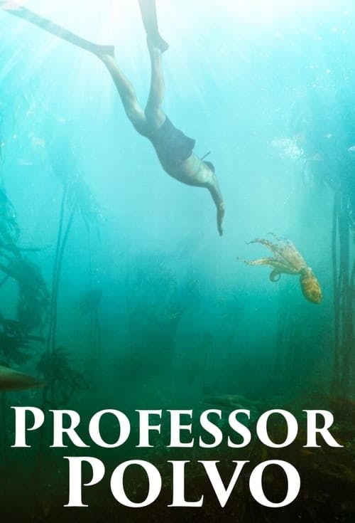 Professor Polvo poster