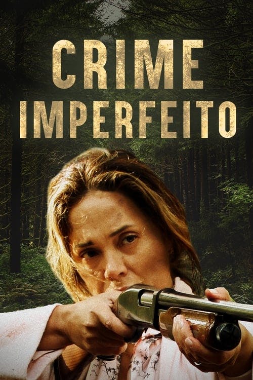 Crime Imperfeito poster