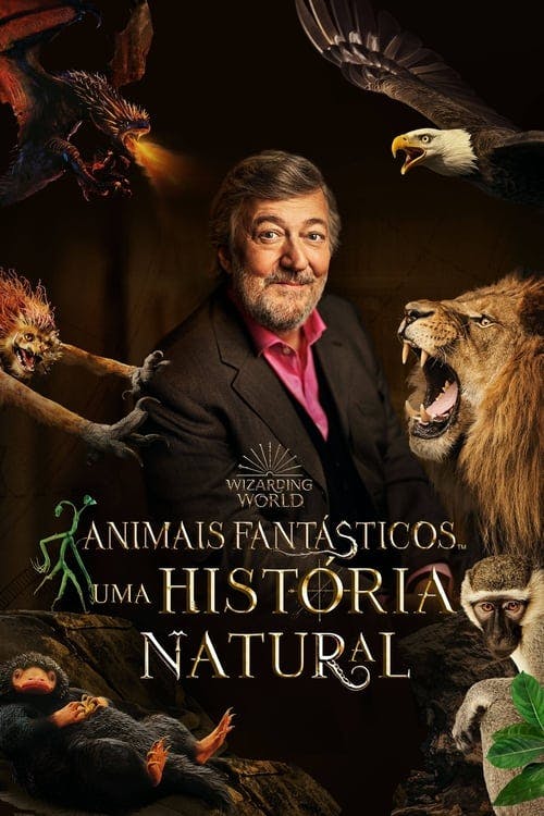 Animais Fantásticos Uma História Natural poster