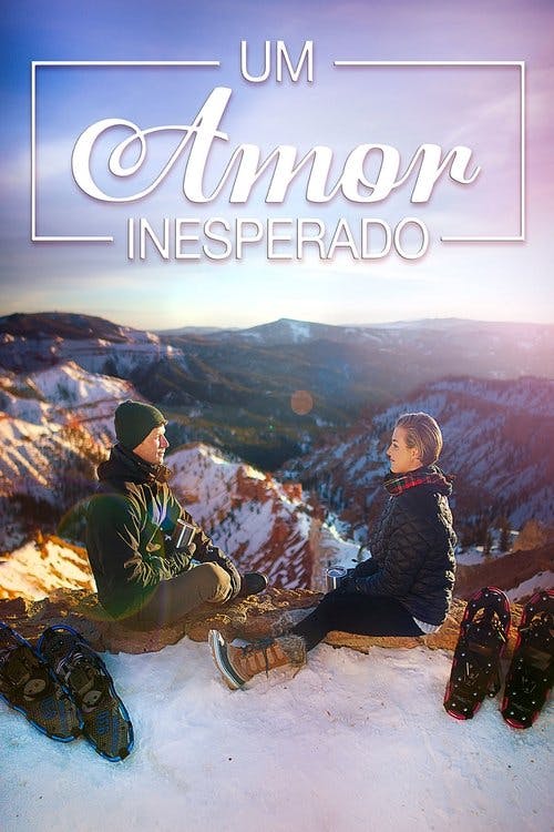 Um Amor Inesperado poster