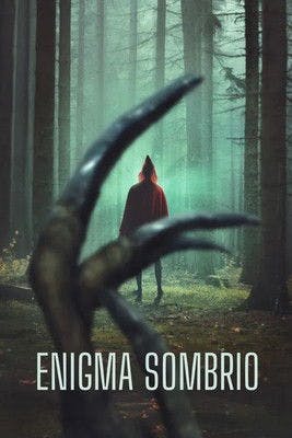Enigma Sombrio poster