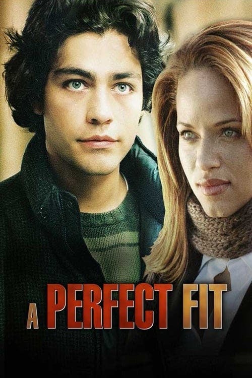 A Escolha Perfeita poster
