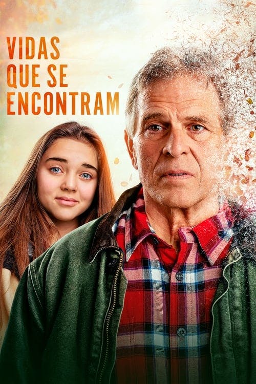 Vidas que se Encontram poster