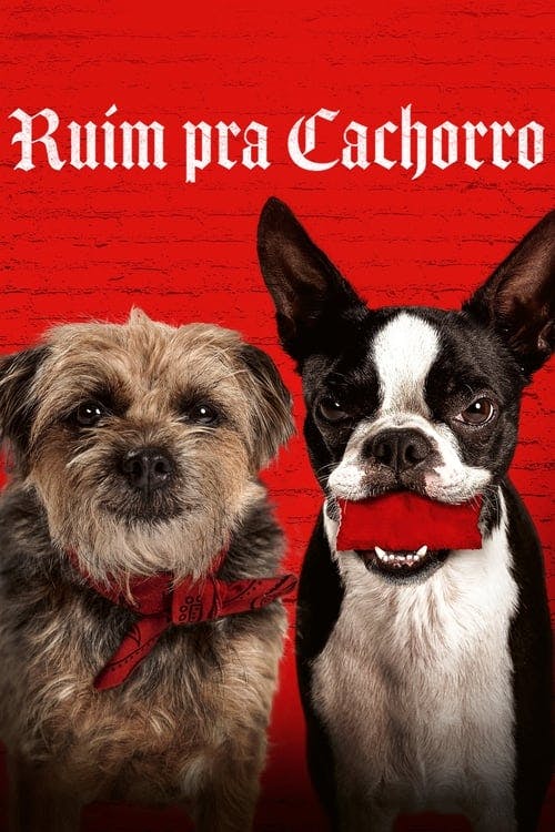 Ruim pra Cachorro poster