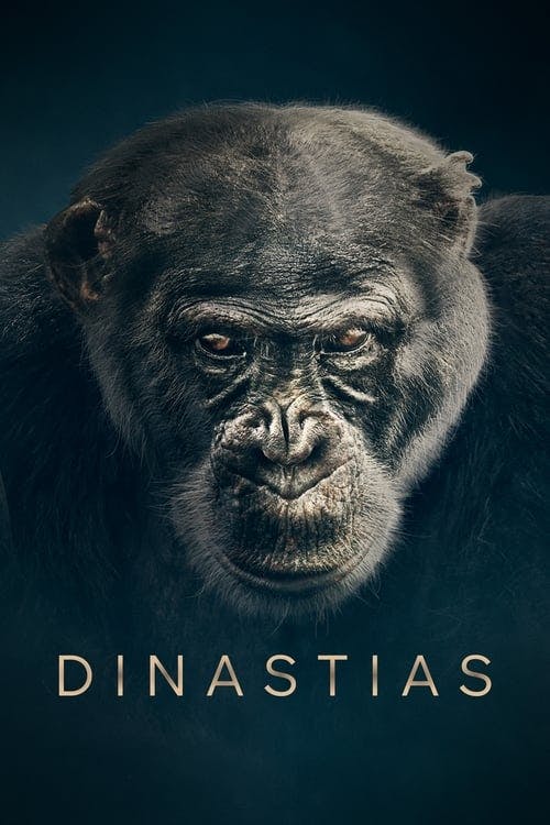 Assistir Dinastias Online em HD