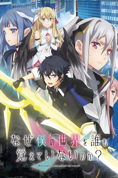 Why Does Nobody Remember Me in This World? poster