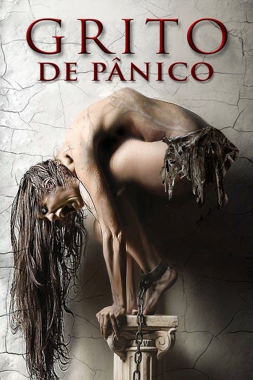 Grito de Pânico poster