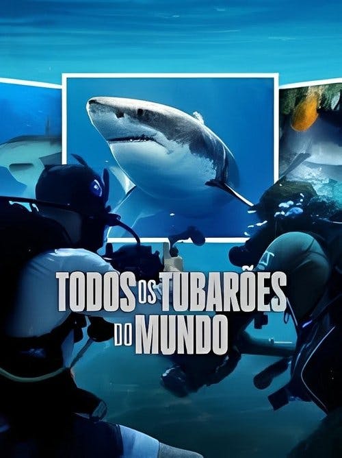 Todos os Tubarões do Mundo poster