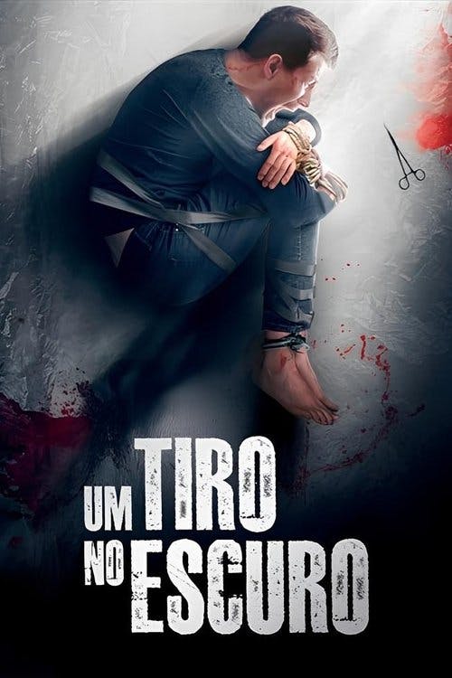 Um Tiro no Escuro poster