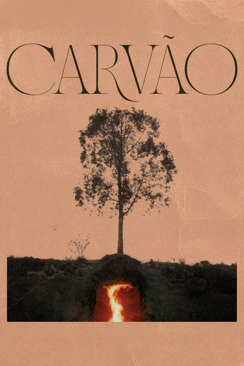 Carvão poster