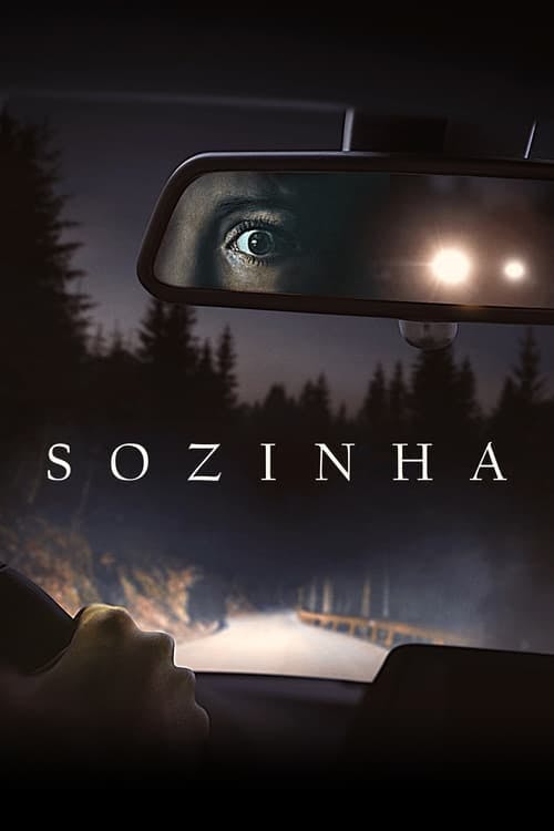 Sozinha poster