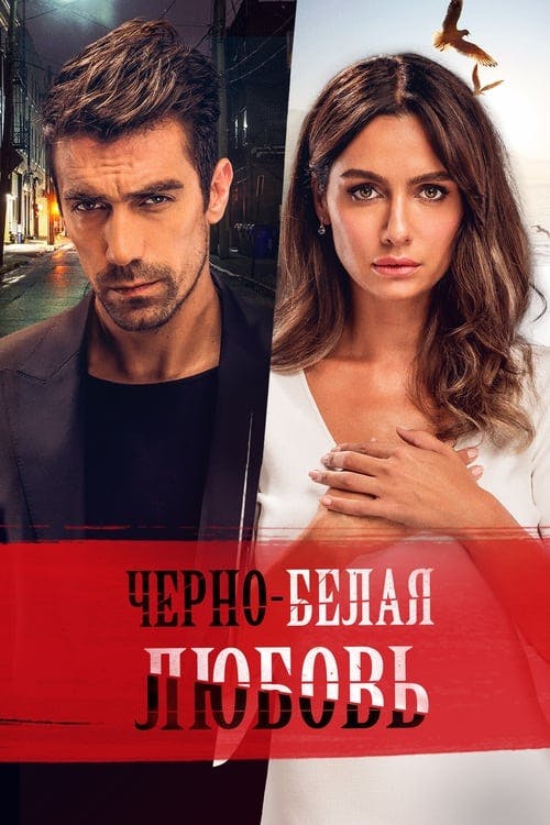 Assistir Siyah Beyaz Ask Online em HD