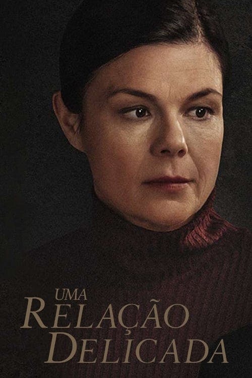 Uma Relação Delicada poster