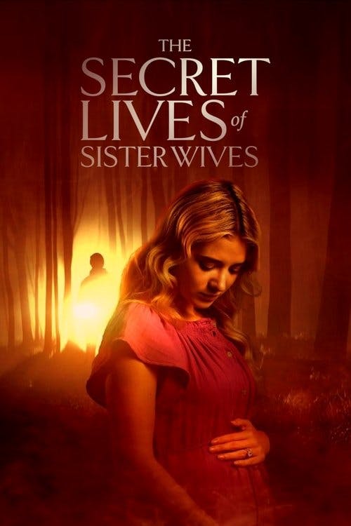 The Secret Lives of Sister Wives poster