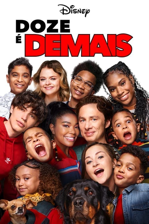 Doze é Demais poster